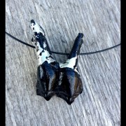 Moose Tooth Jewelry
