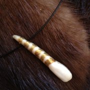 Moose Tooth Jewelry