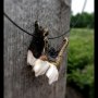 Moose Tooth Jewelry: Burnished Bronze - I 