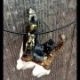 Moose Tooth Jewelry: Burnished Bronze - I 