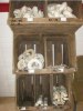 ben med priser