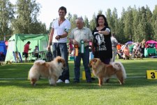 2010-07-17 OHL-GHA BIM CERT SKK ALFTA 070