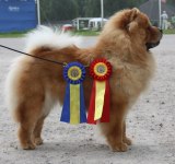 2011-07-10 SKK NAT
