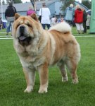 2011-07-10 SKK NAT