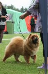 2011-06-18 SKK NAT