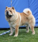 2011-06-18 SKK NAT