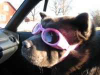 2008-04-23 dora cruisar 016