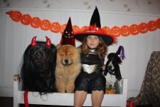 2008-10-30 HALLOWEEN 012