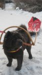 2009-01-15 DORA DRAR 004