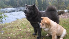 2010-09-23 DORA & CHARLIE 014