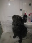 2011-04-01 DORA BADAS 008