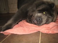 2011-04-01 DORA BADAS 029