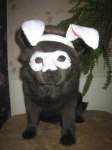 2011-04-06 MASKERAD 023