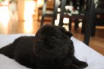 2011-11-19 ANASTACIA 3 ½ V 014