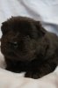 2011-11-19 ANASTACIA 3 ½ V 062