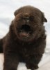 2011-11-19 ANASTACIA 3 ½ V 072