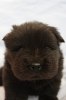 2011-11-19 ANASTACIA 3 ½ V 074