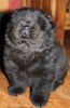2011-11-27 ANASTACIA 4 ½ V 013