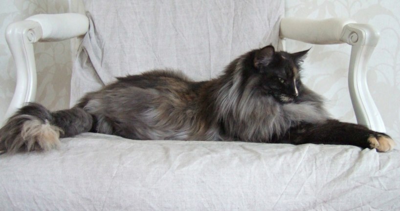 almost 6 years old