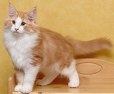 jack_050105_k