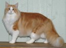 jack_050925