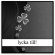 lycka till