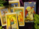 Tarot of White Cats. Underbar, "snäll" kortlek. 230:-