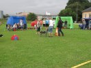 best-in-show-valp