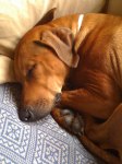 Zzzzzz
