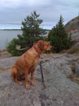 Klippor igen