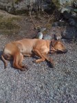 Solen värmer gott