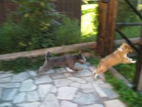 IMG_0097