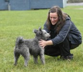 härliga hund bilder 010