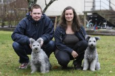 härliga hund bilder 011