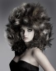 avant_garde_ambrose08