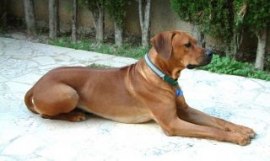 Such Exgate´s Quijote Nelson
