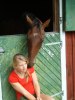 Kina och Laban