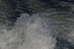 alla foton 090920 679