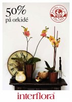 Interflora_Catt&Co_1