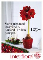 Interflora_Catt&Co_3