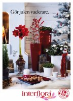 Interflora_Catt&Co_5