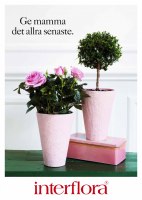 Interflora_Catt&Co_16