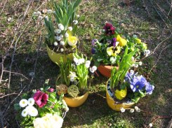 Planteringar av vårblommor