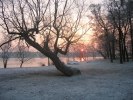 IMG_0131_1_8