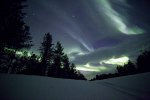 Aurora_Pallas_3755_2