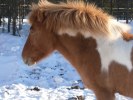 SAM_1280
