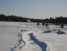 SAM_1315