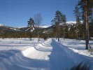 SAM_1319