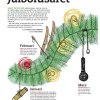 Julbordskalender till Restauratören -11