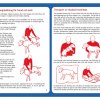 Första hjälpen - Instruktionsfolder till veterinären.nu -11